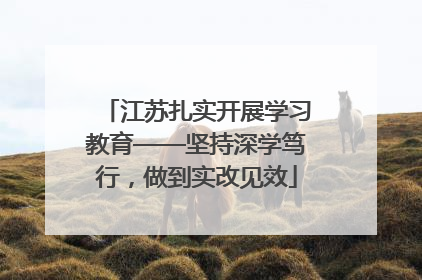 江苏扎实开展学习教育——坚持深学笃行，做到实改见效